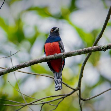 Shimiyacu Amazon Lodge Tarapoto Bagian luar foto