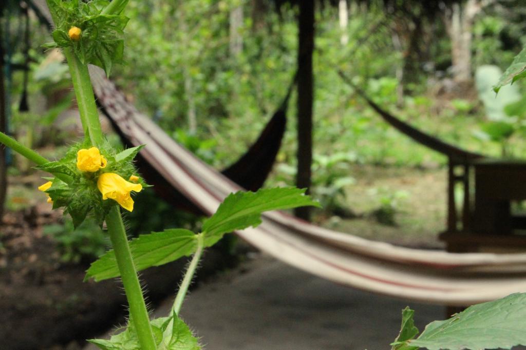 Shimiyacu Amazon Lodge Tarapoto Bagian luar foto