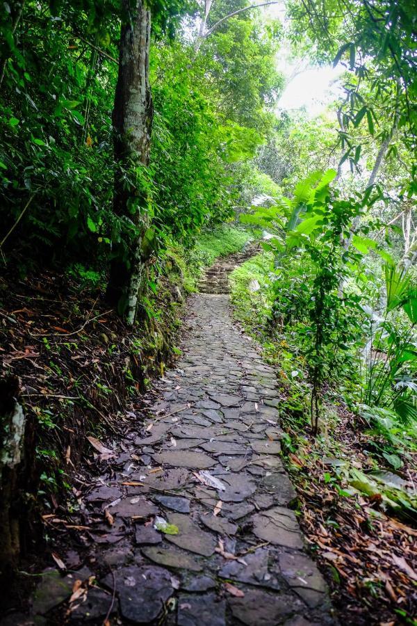 Shimiyacu Amazon Lodge Tarapoto Bagian luar foto