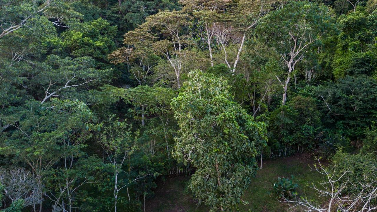 Shimiyacu Amazon Lodge Tarapoto Bagian luar foto