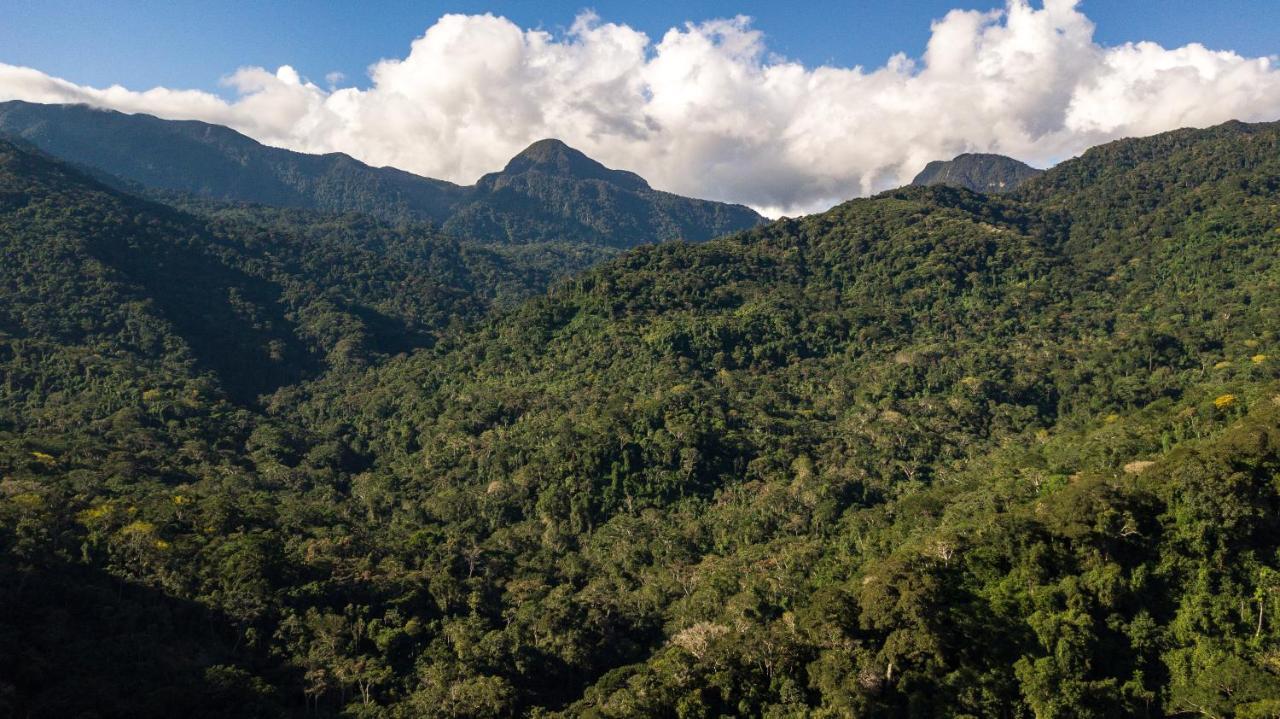 Shimiyacu Amazon Lodge Tarapoto Bagian luar foto