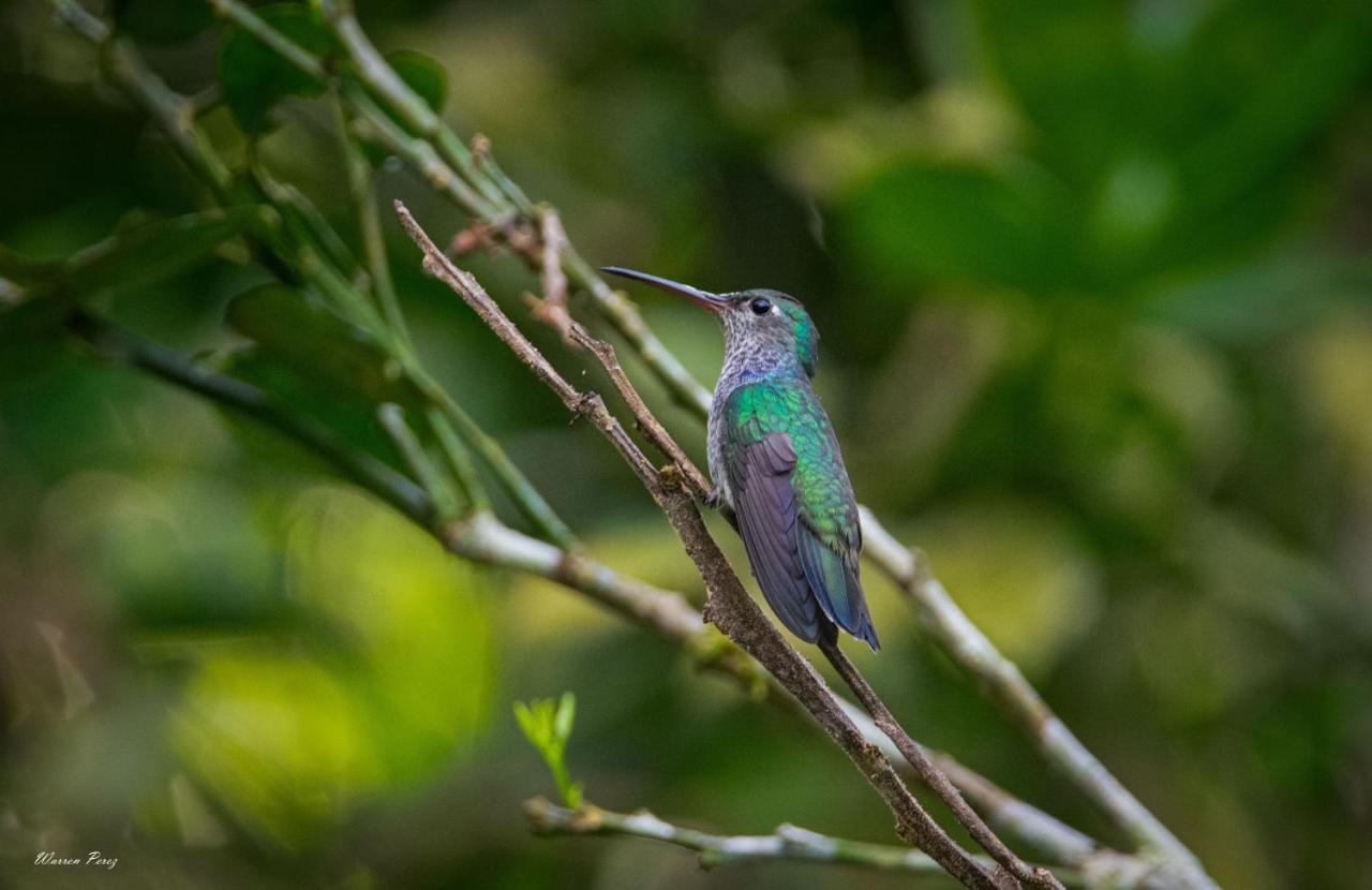 Shimiyacu Amazon Lodge Tarapoto Bagian luar foto