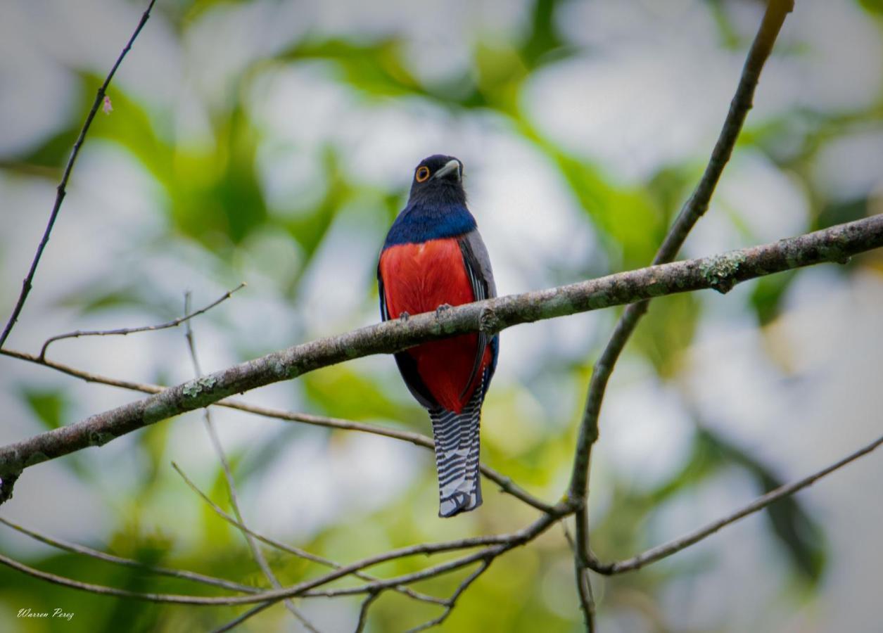 Shimiyacu Amazon Lodge Tarapoto Bagian luar foto