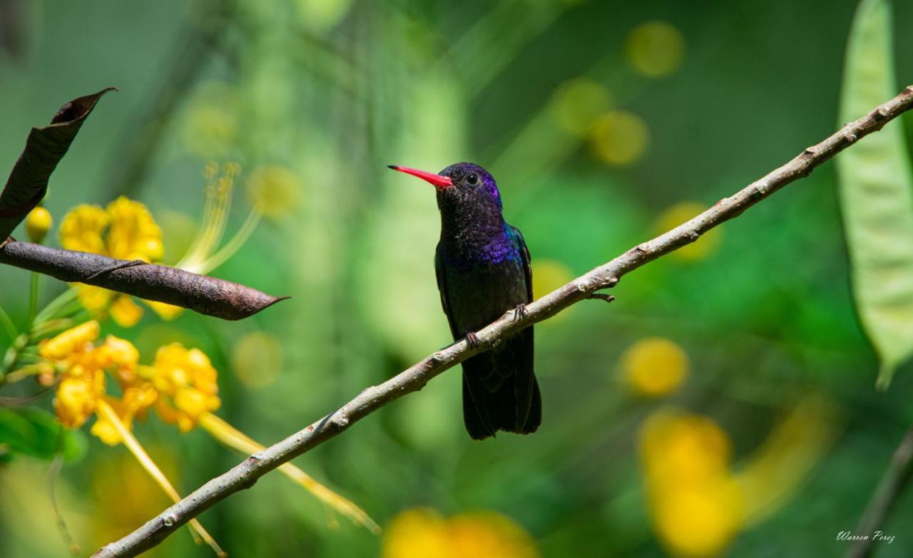 Shimiyacu Amazon Lodge Tarapoto Bagian luar foto