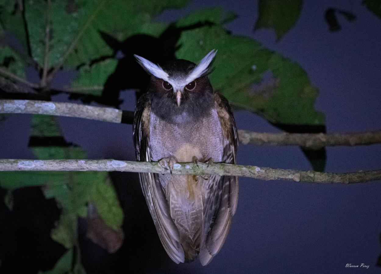 Shimiyacu Amazon Lodge Tarapoto Bagian luar foto